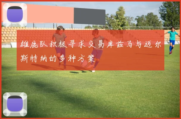 雄鹿队积极寻求交易库兹马与迈尔斯特纳的多种方案